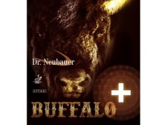 1777-1_drneubauer-buffalo-2-1