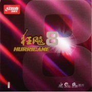dhs-hurricane-8-228x228